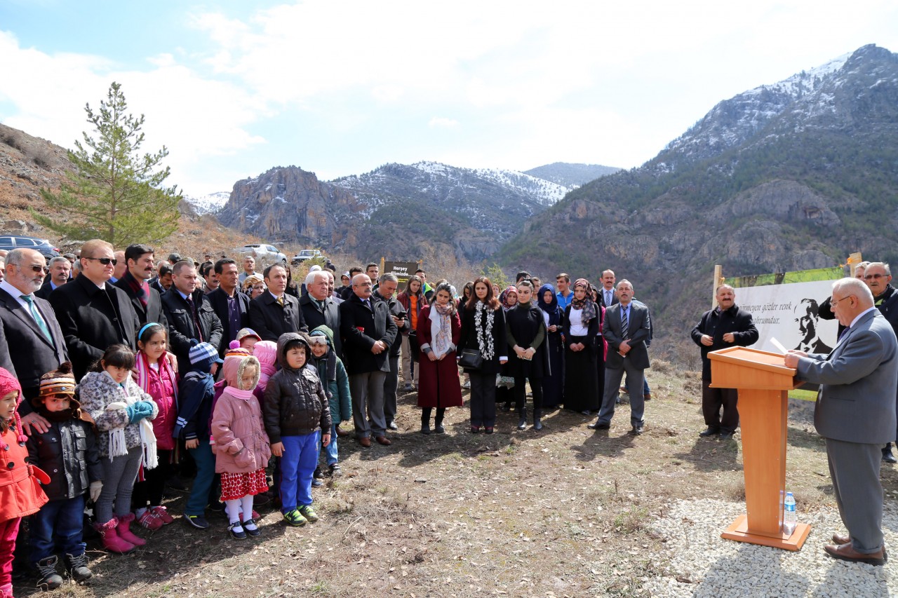 Cebeli Köyüne 10 Bin Fidanlık Yeni Orman 3