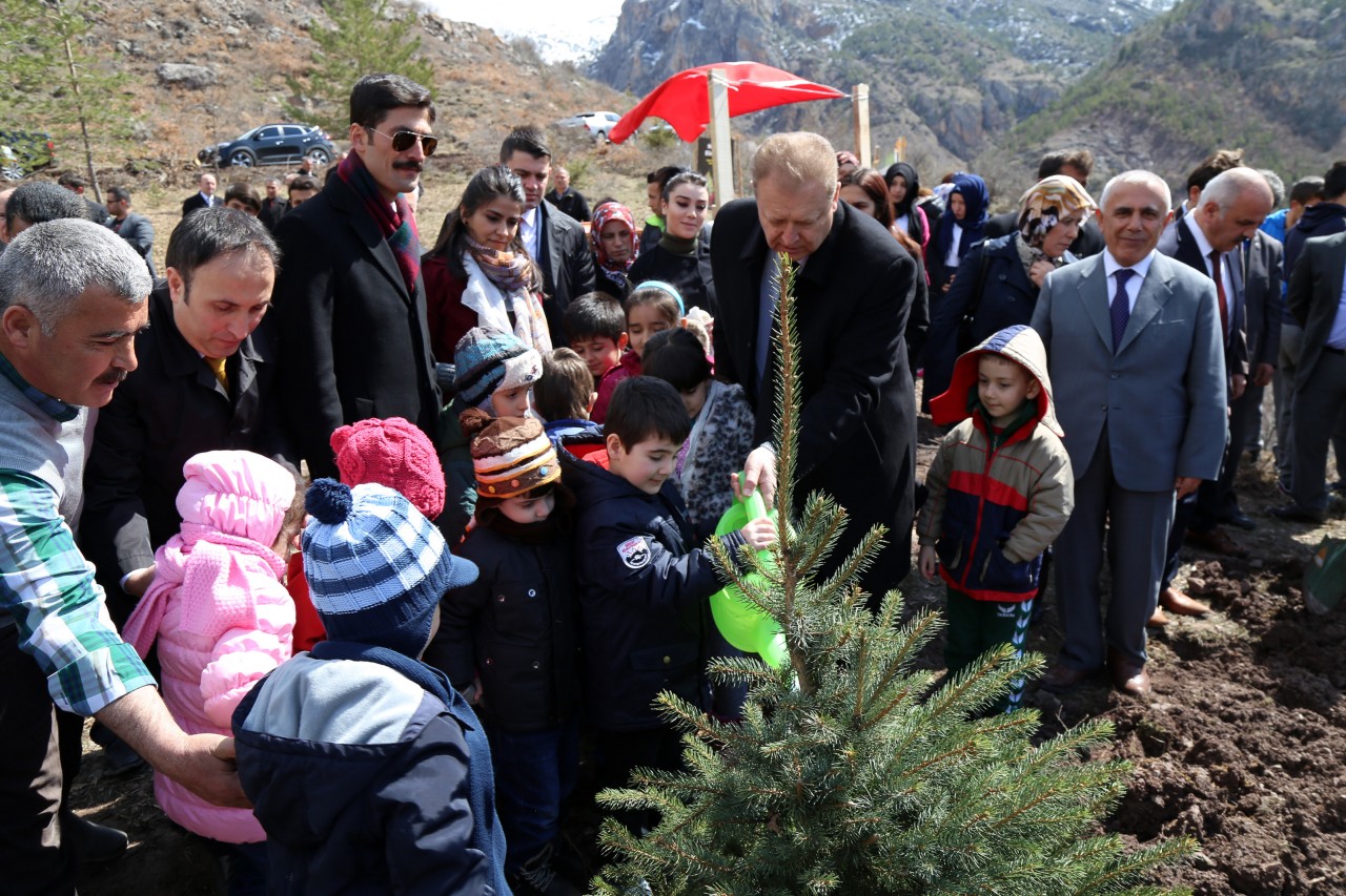 Cebeli Köyüne 10 Bin Fidanlık Yeni Orman 6