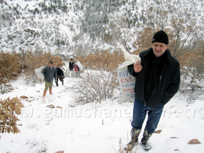 Gümüşhane'de Yaban Keçilerine Ot Bırakıldı 6