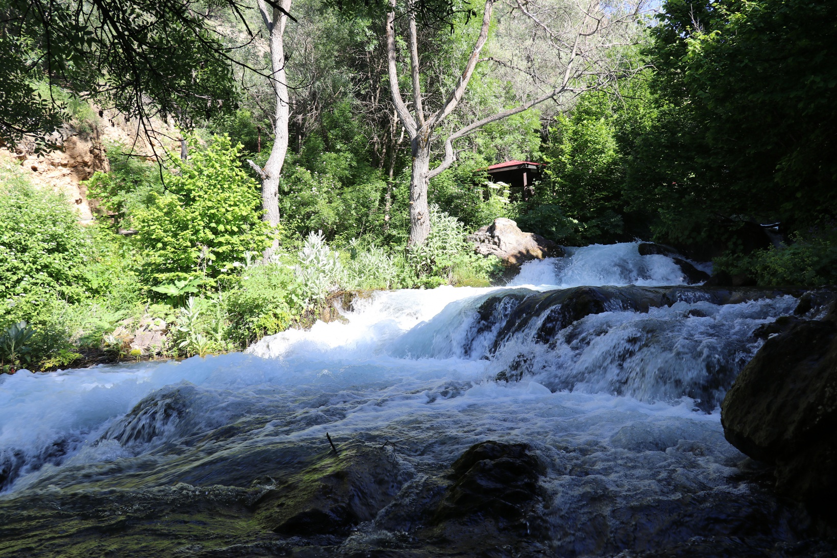 Sıcaktan kaçan soluğu Tomara Şelalesinde alıyor 5