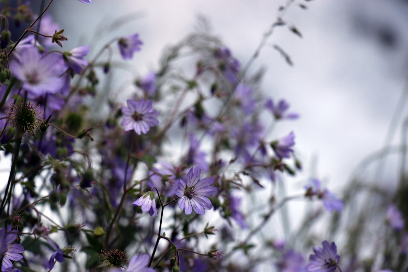 Sıcaktan kaçan soluğu Tomara Şelalesinde alıyor 7