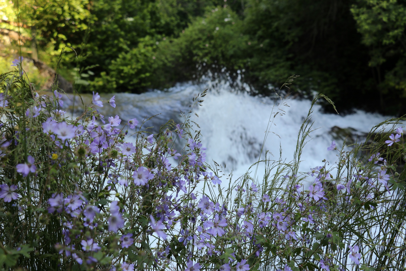Sıcaktan kaçan soluğu Tomara Şelalesinde alıyor 2