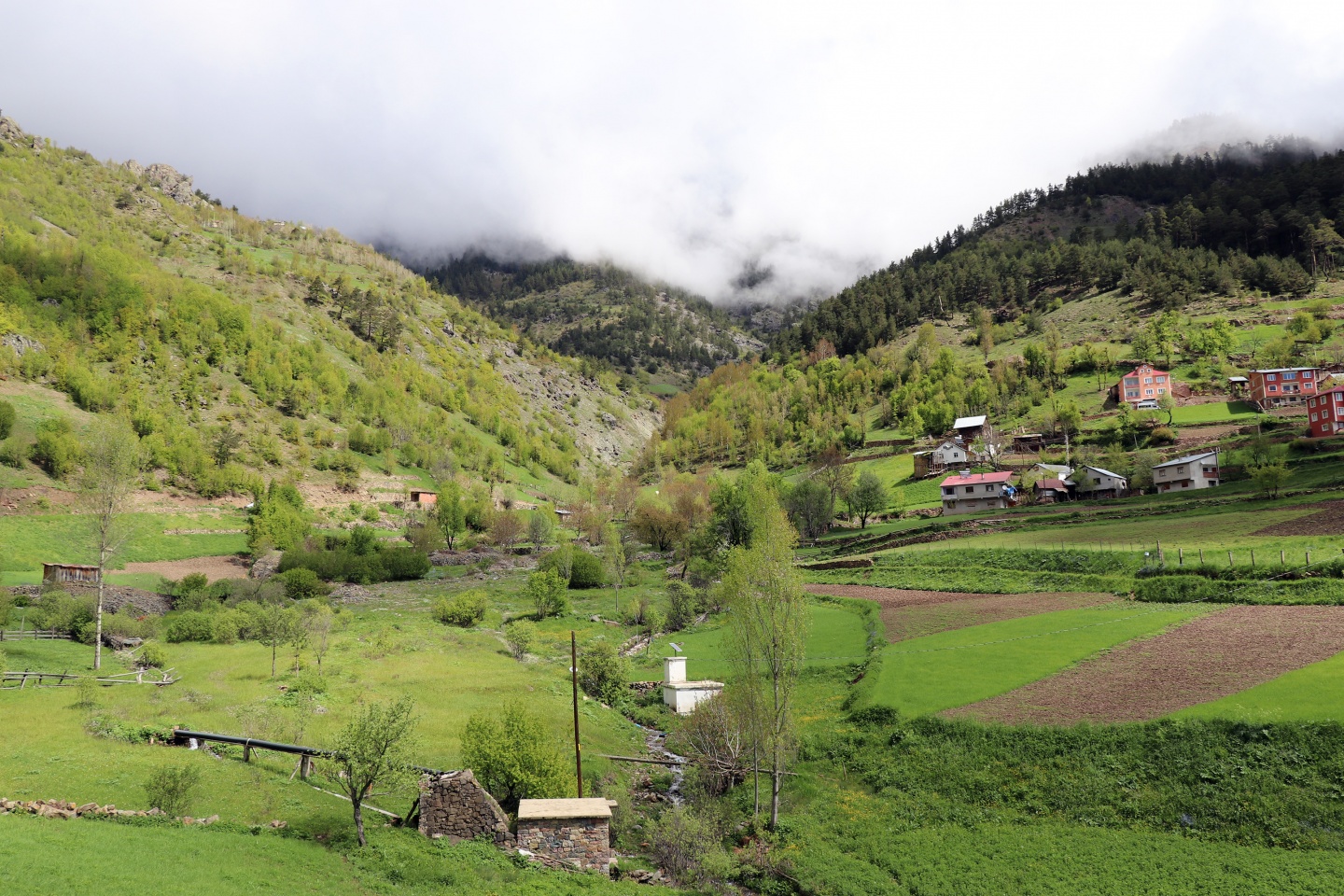 Gümüşhaneli dağcılardan bulutların üzerinde yürüyüş 3