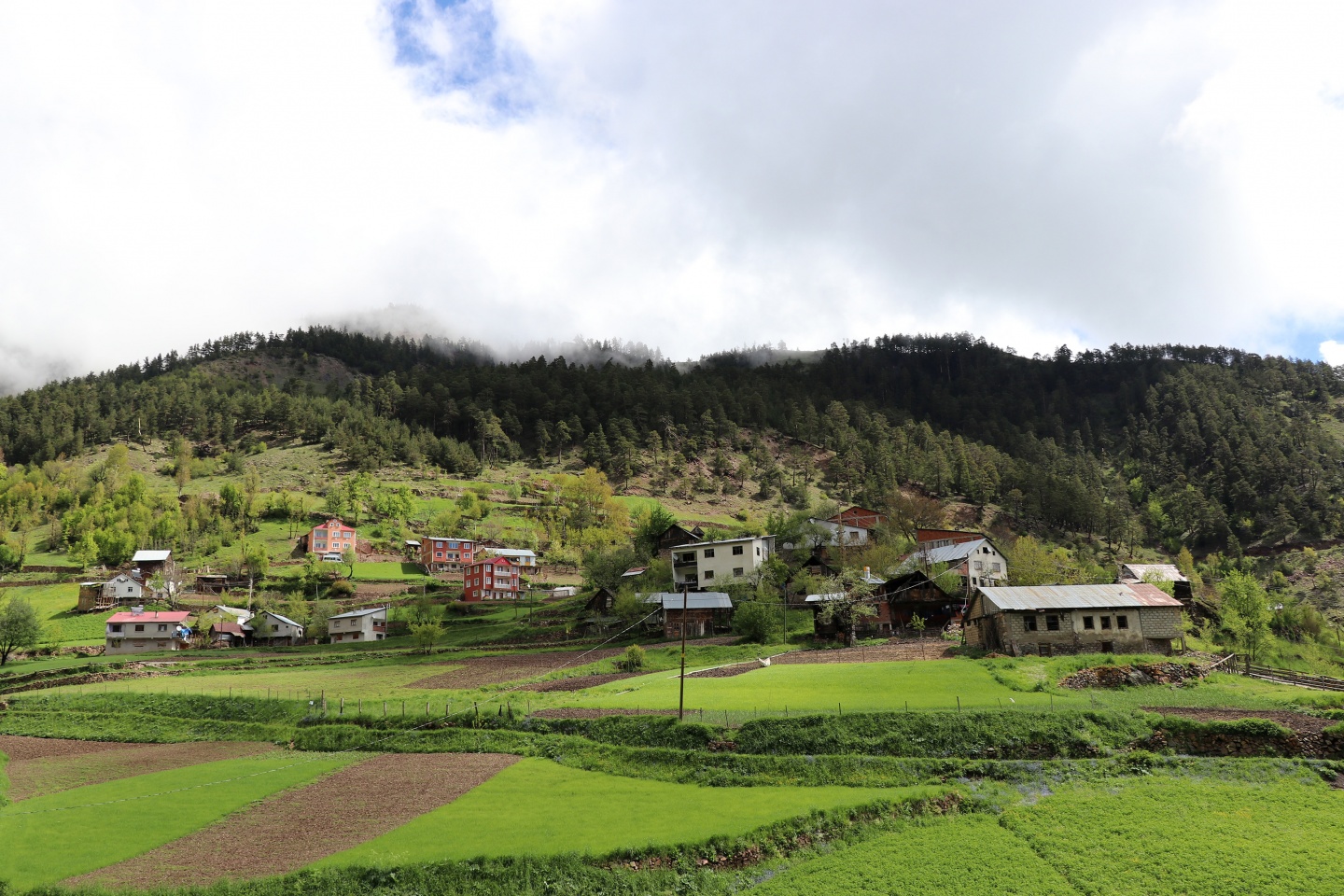 Gümüşhaneli dağcılardan bulutların üzerinde yürüyüş 1