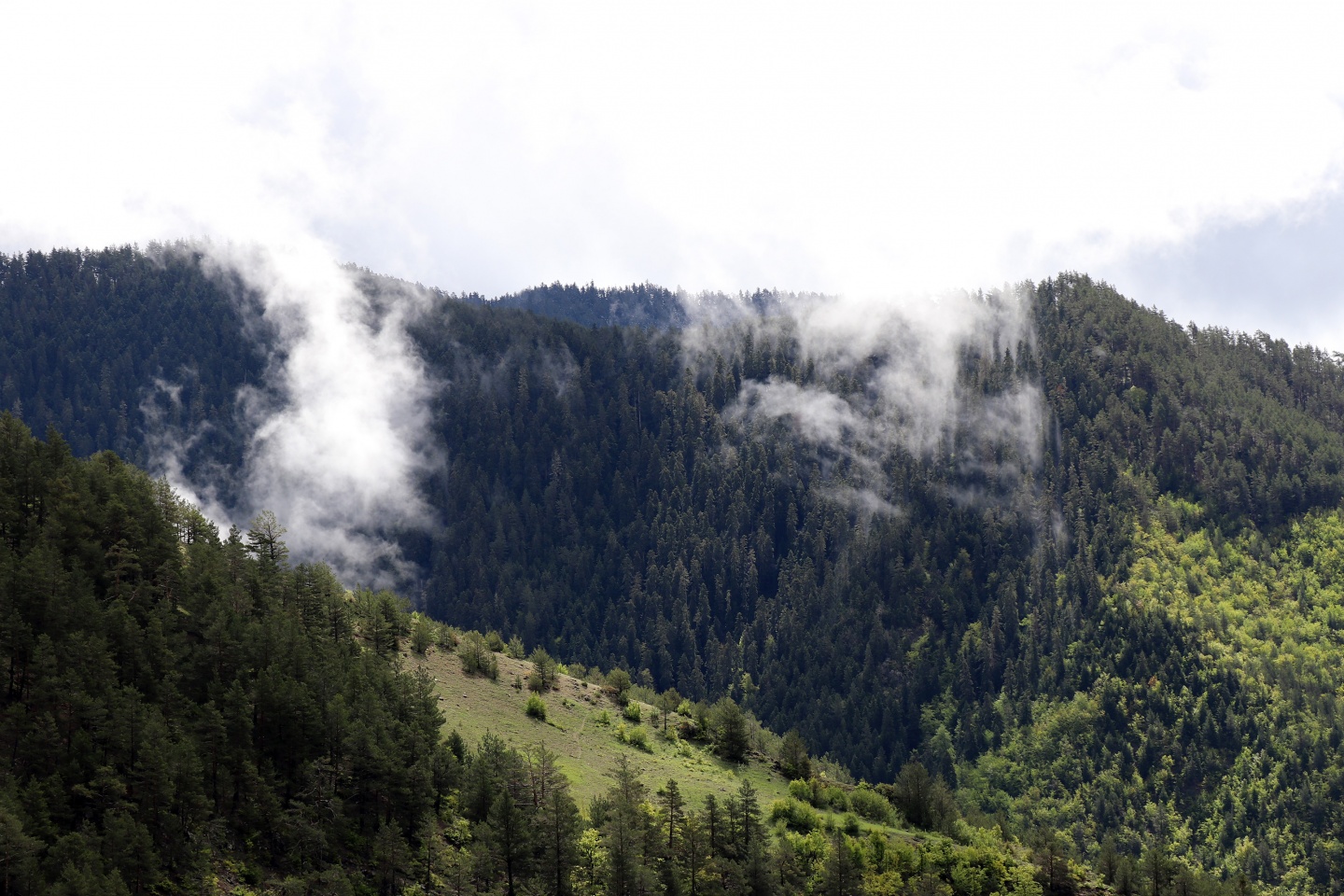 Gümüşhaneli dağcılardan bulutların üzerinde yürüyüş 2