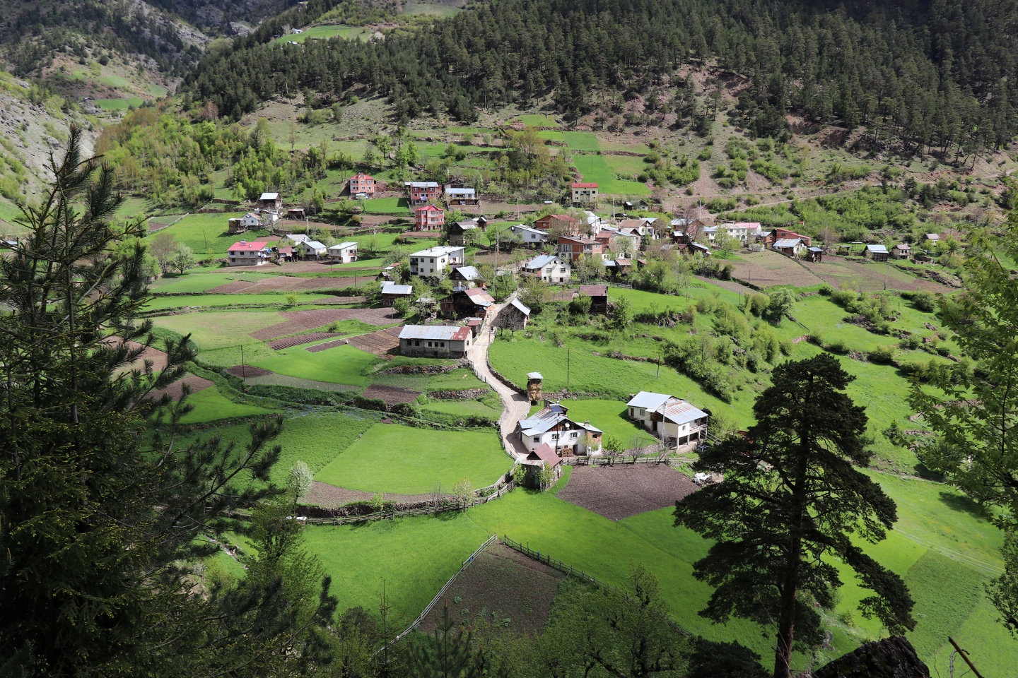 Gümüşhaneli dağcılardan bulutların üzerinde yürüyüş 6
