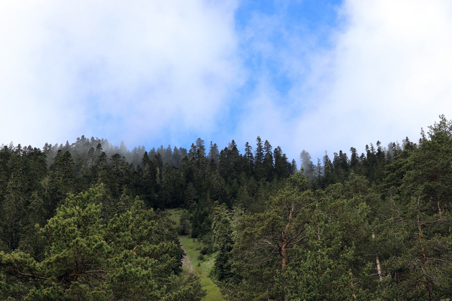 Gümüşhaneli dağcılardan bulutların üzerinde yürüyüş 55