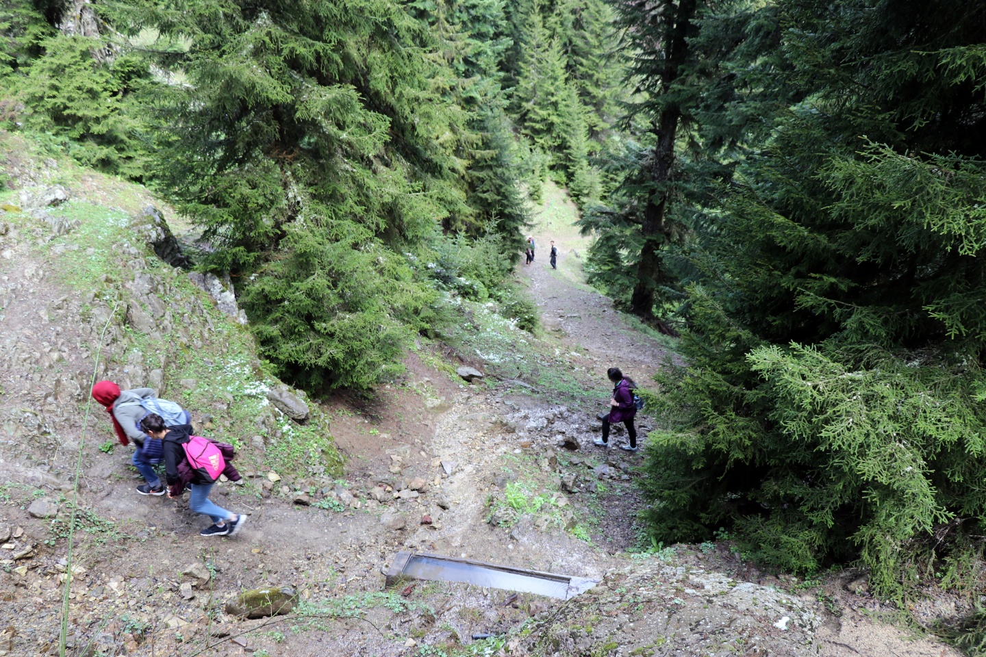 Gümüşhaneli dağcılardan bulutların üzerinde yürüyüş 48