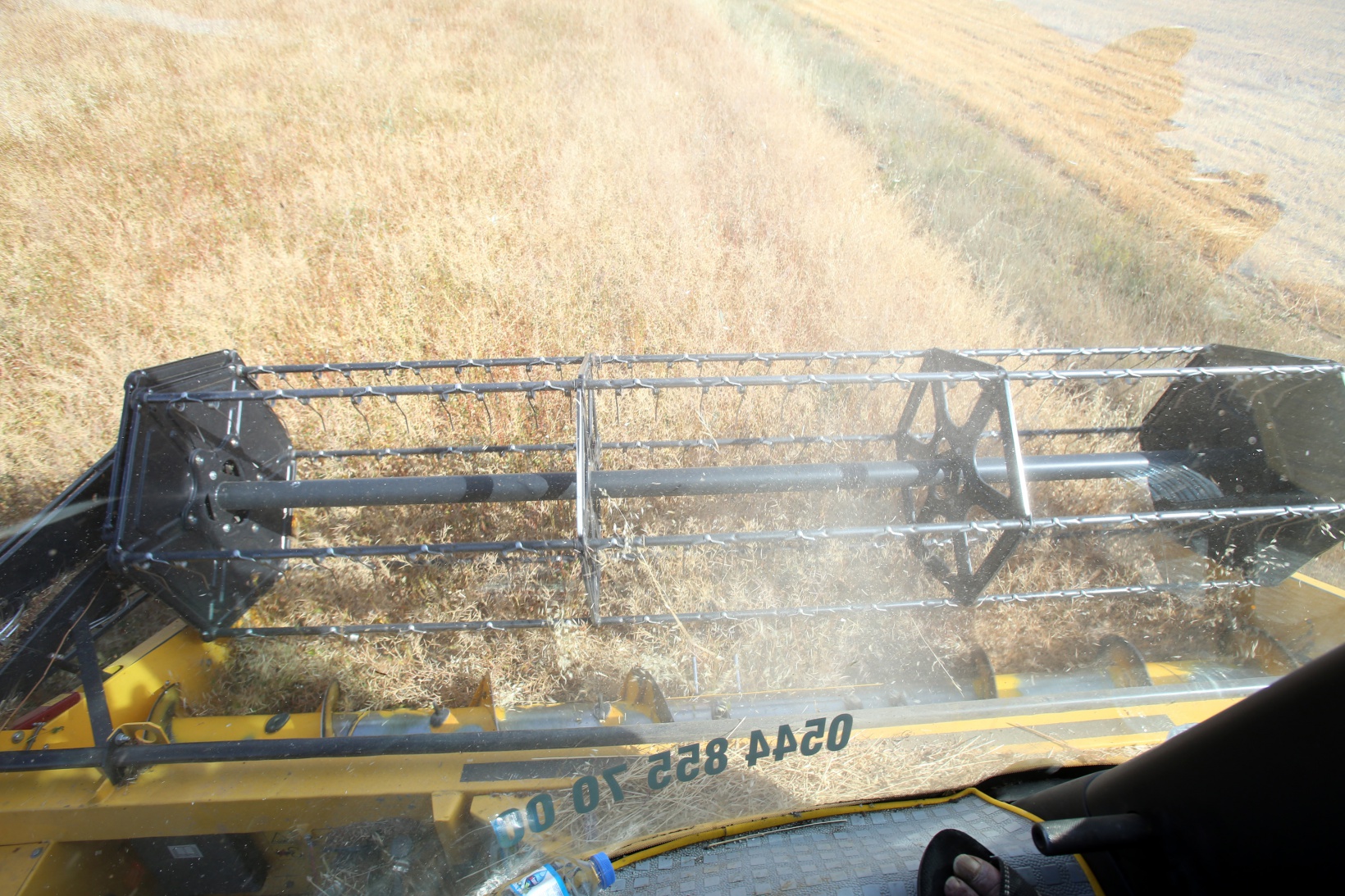 Gümüşhane karabuğdayın başkenti olma yolunda ilerliyor 11