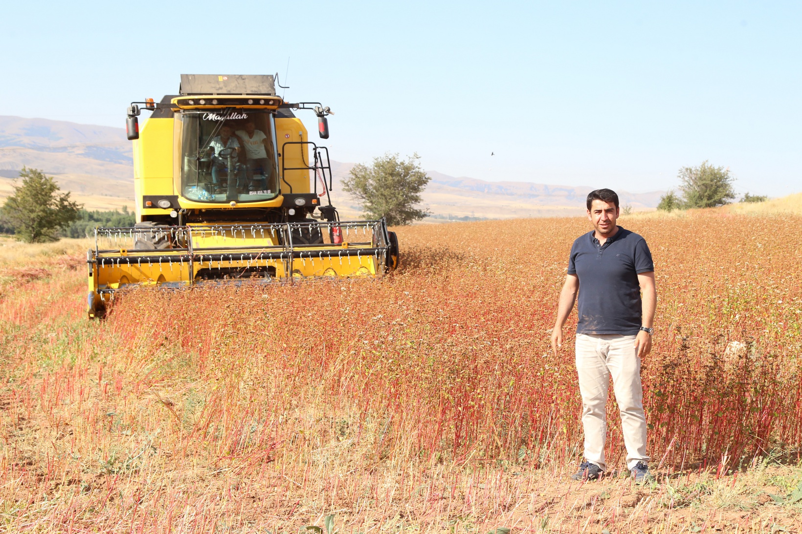 Gümüşhane karabuğdayın başkenti olma yolunda ilerliyor 17
