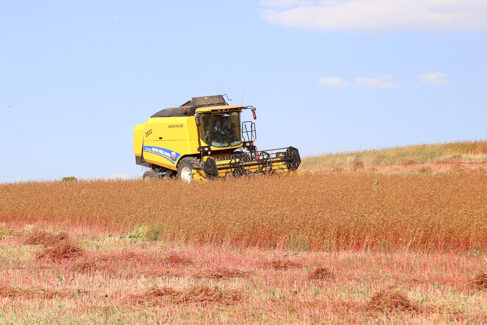 Gümüşhane karabuğdayın başkenti olma yolunda ilerliyor 13