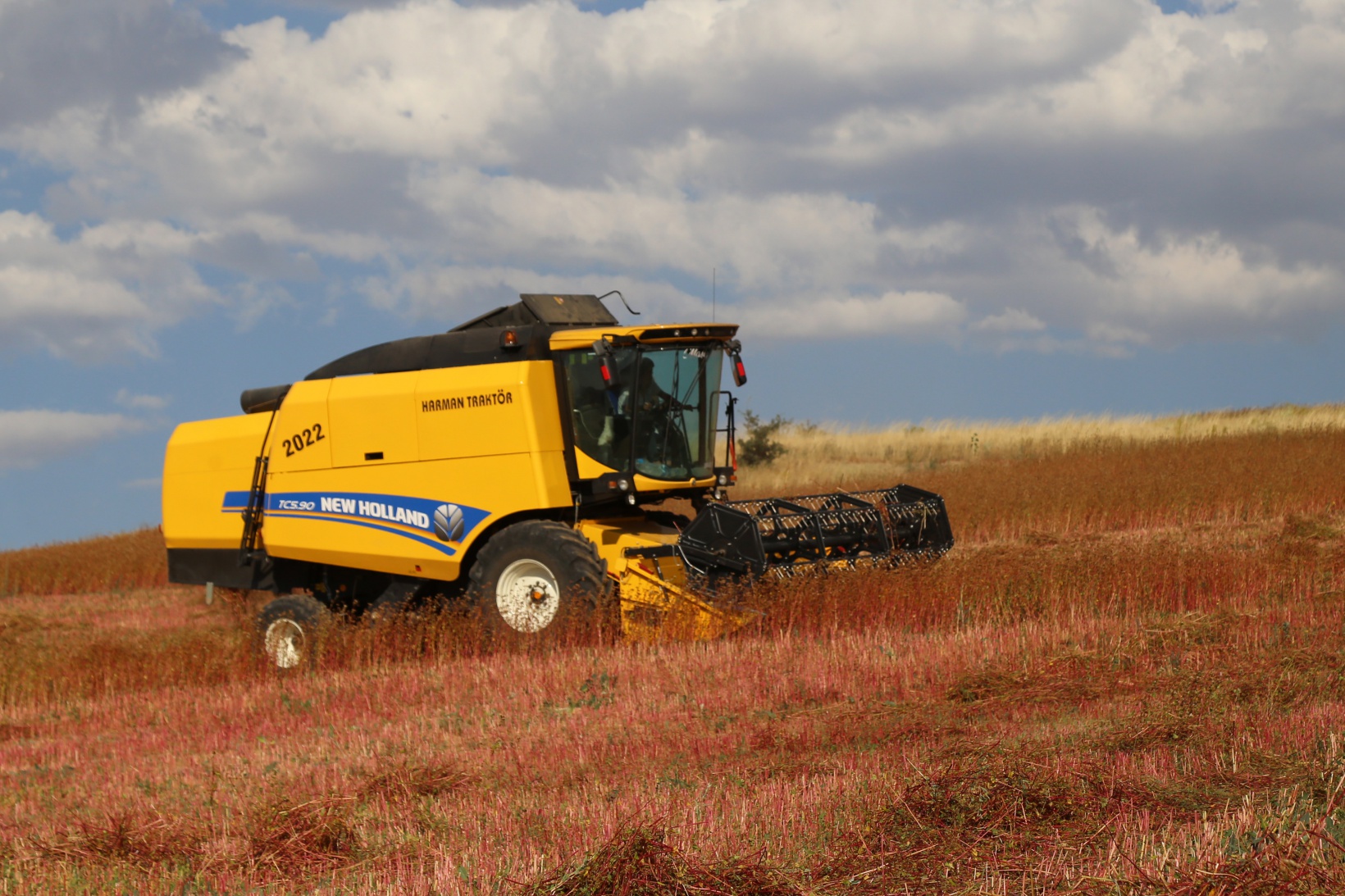 Gümüşhane karabuğdayın başkenti olma yolunda ilerliyor 20