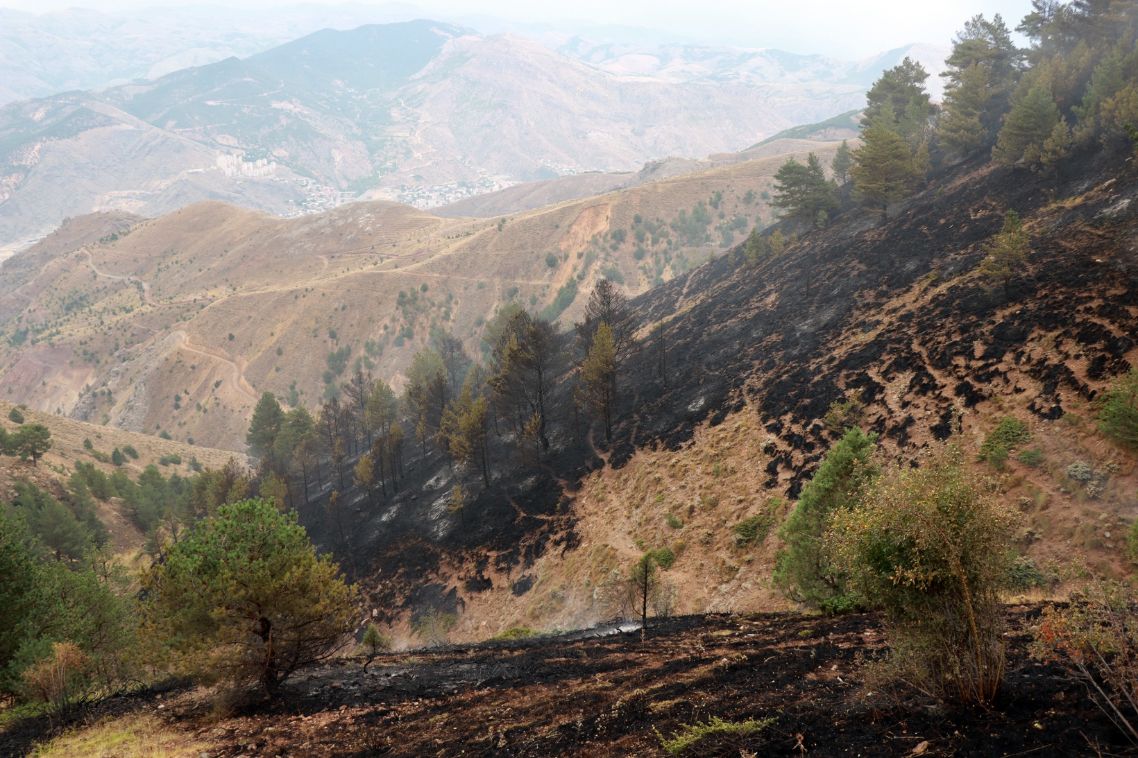 Gümüşhane’de orman ve örtü yangını 20