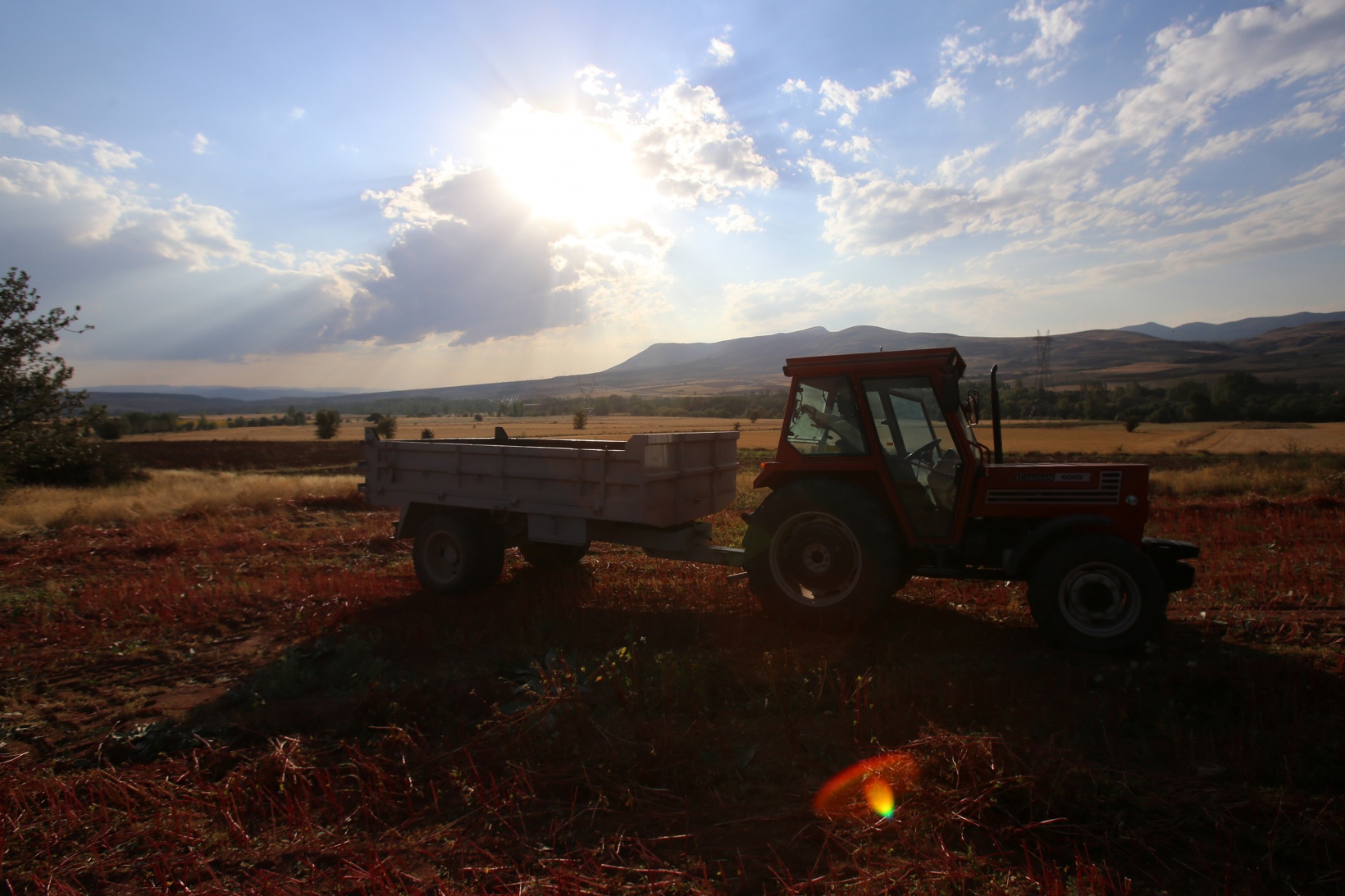Gümüşhane karabuğdayın başkenti olma yolunda ilerliyor 26