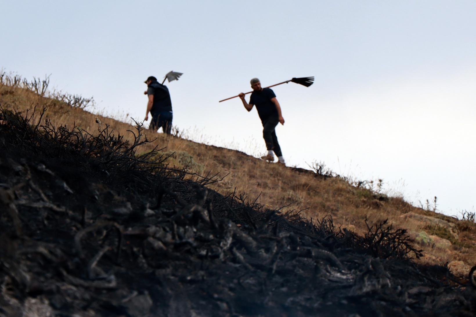 Gümüşhane’de orman ve örtü yangını 7