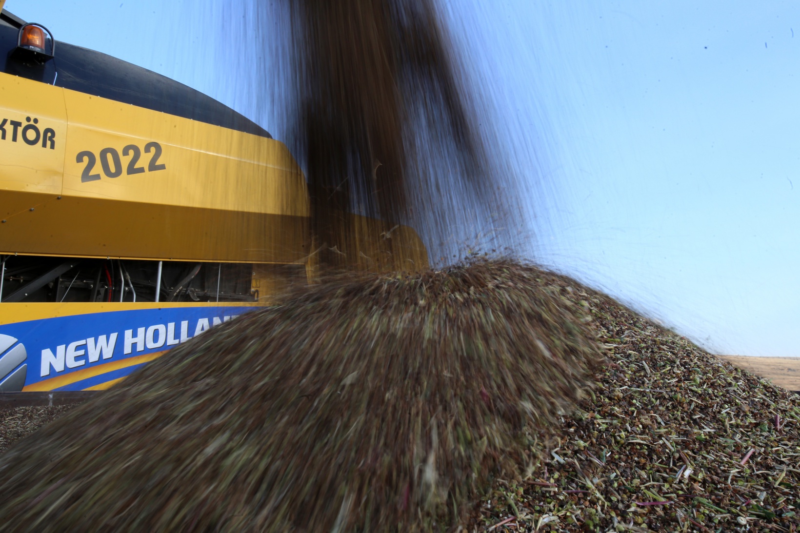 Gümüşhane karabuğdayın başkenti olma yolunda ilerliyor 4