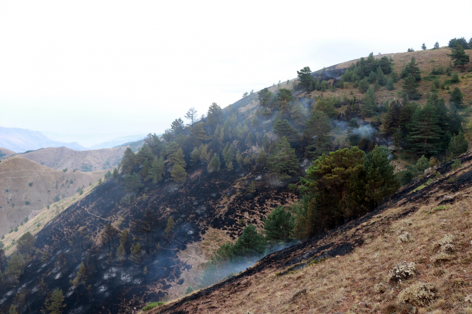 Gümüşhane’de orman ve örtü yangını 9