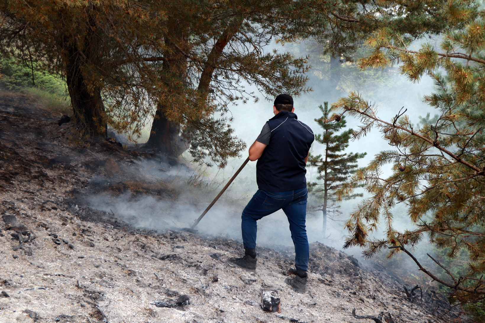Gümüşhane’de orman ve örtü yangını 18