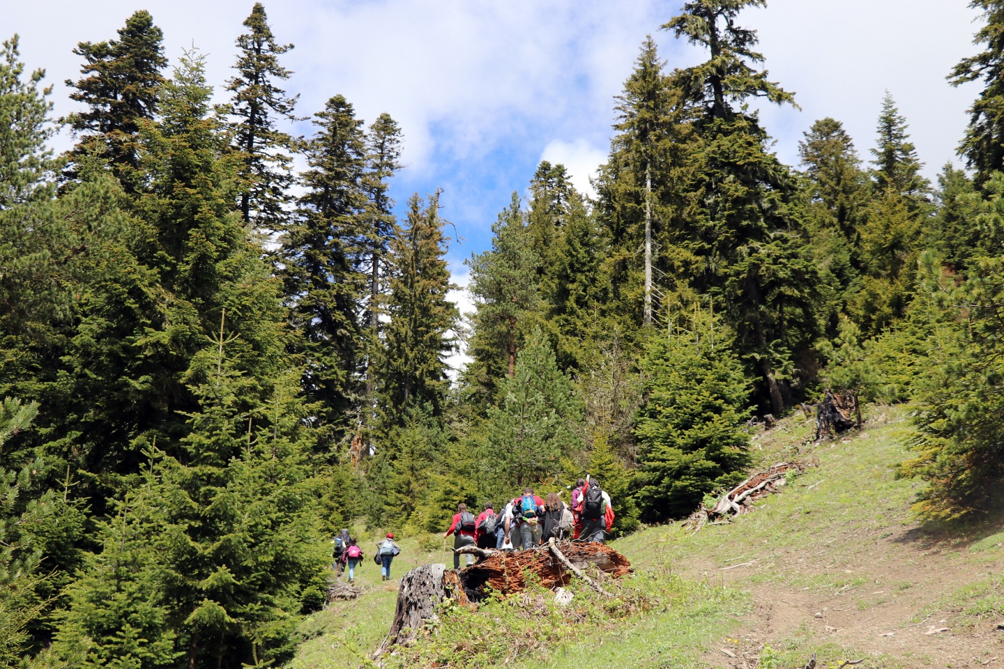 Gümüşhaneli dağcılardan bulutların üzerinde yürüyüş 81