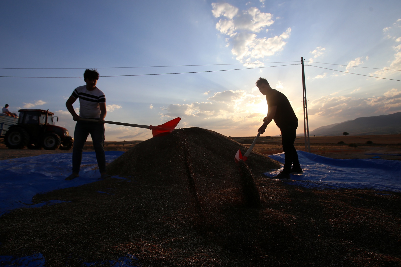 Gümüşhane karabuğdayın başkenti olma yolunda ilerliyor 29