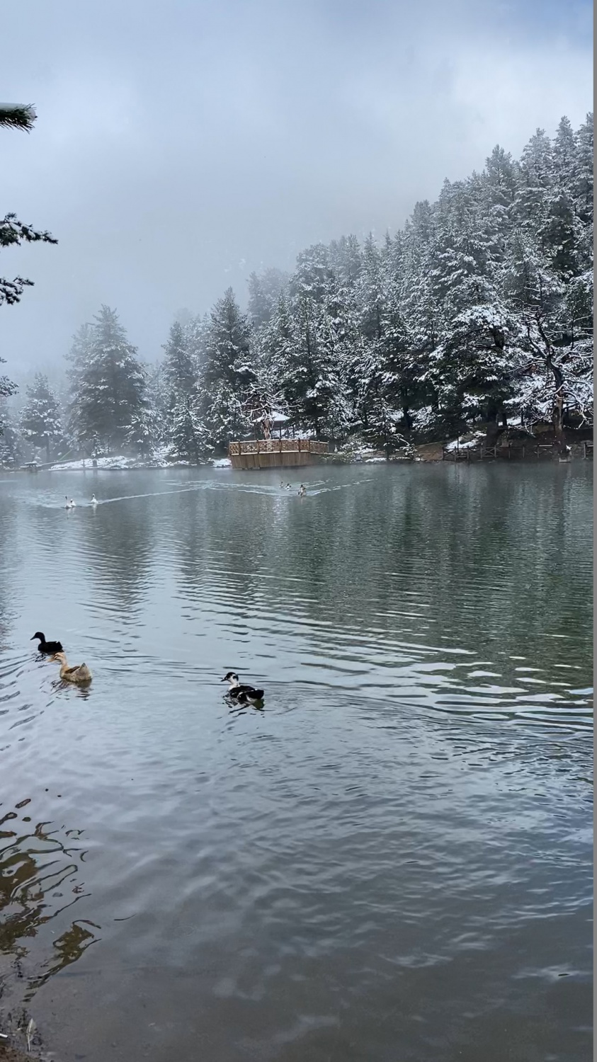 Limni Gölü tabiat parkından eşsiz görüntüler 1