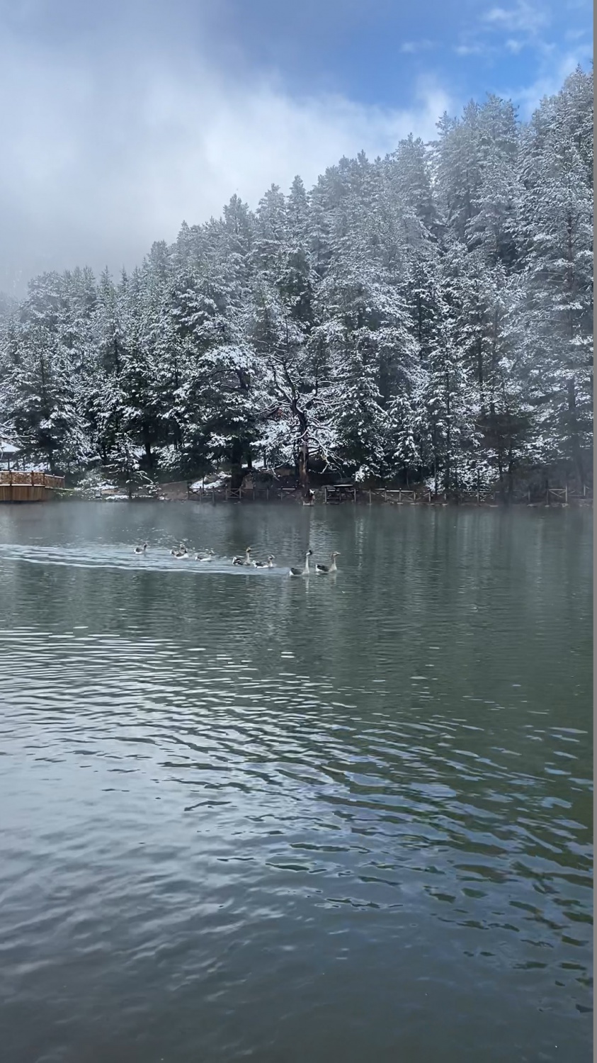 Limni Gölü tabiat parkından eşsiz görüntüler 4