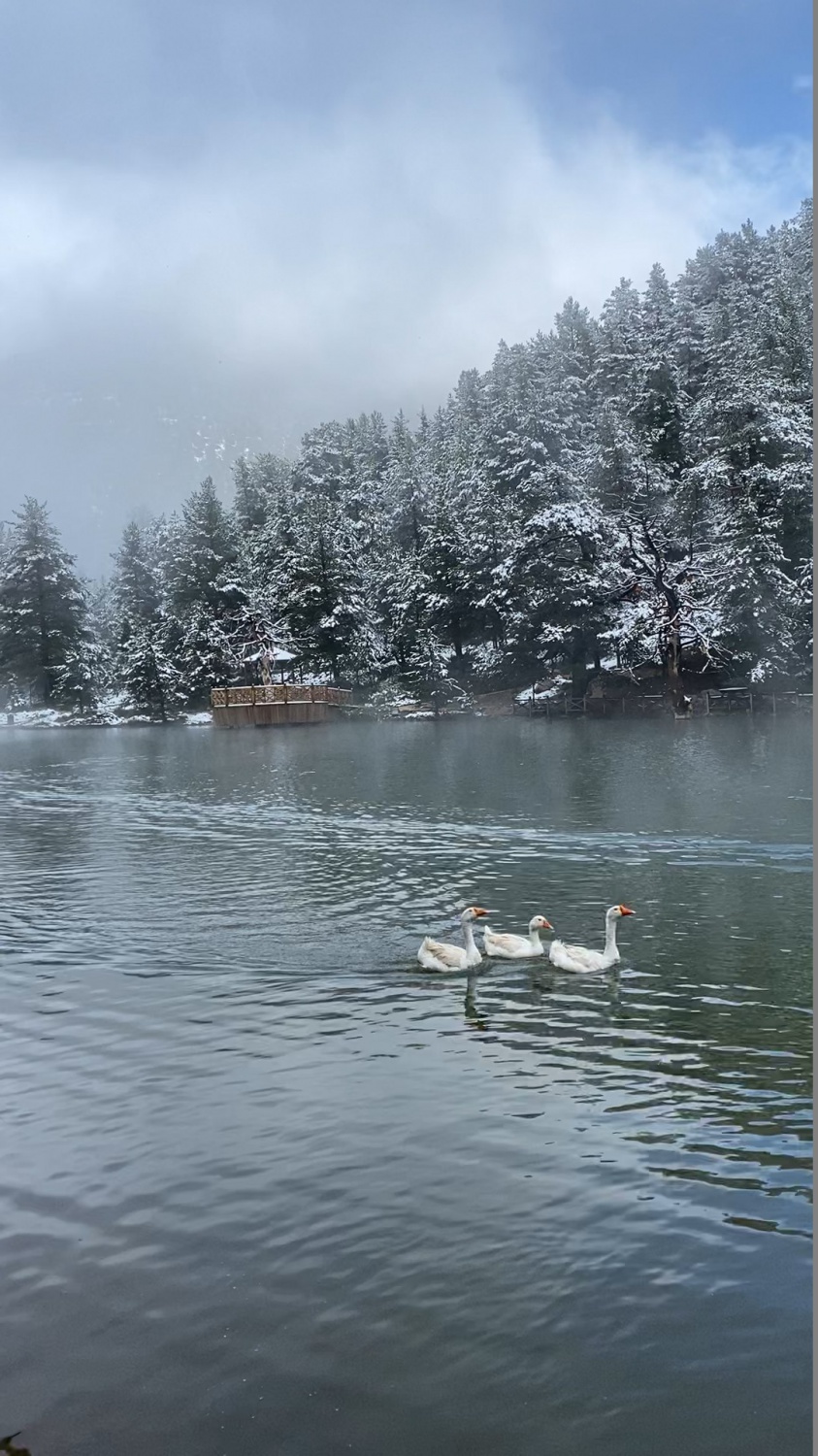 Limni Gölü tabiat parkından eşsiz görüntüler 2