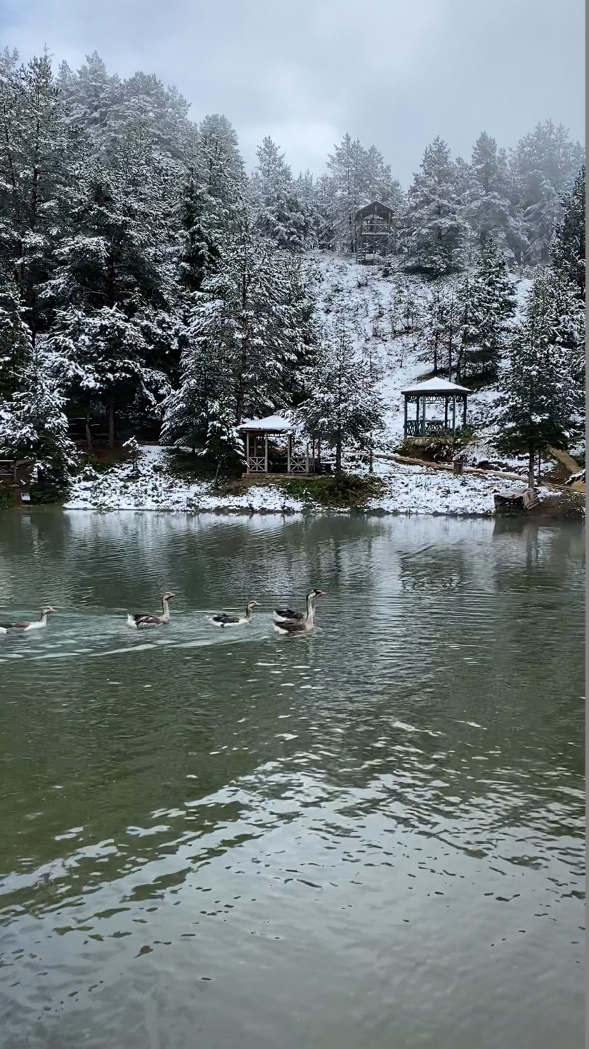Limni Gölü tabiat parkından eşsiz görüntüler 6