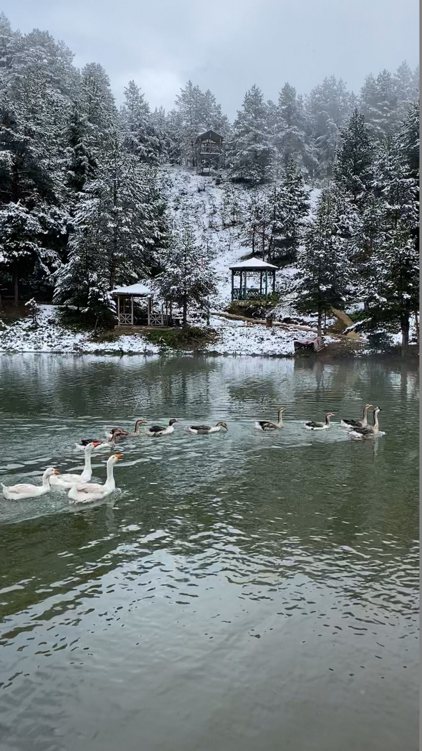 Limni Gölü tabiat parkından eşsiz görüntüler 7