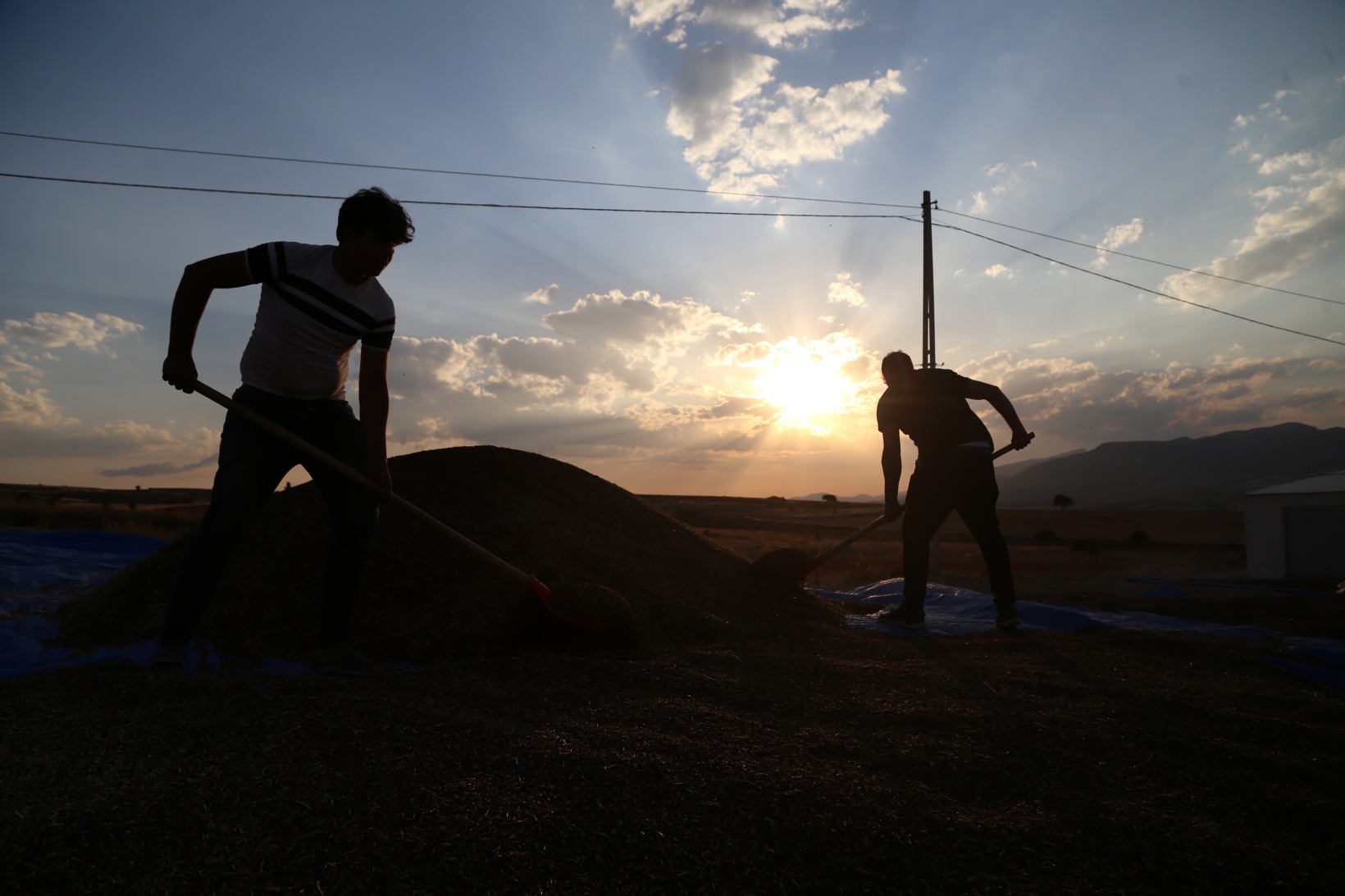 Gümüşhane karabuğdayın başkenti olma yolunda ilerliyor 25