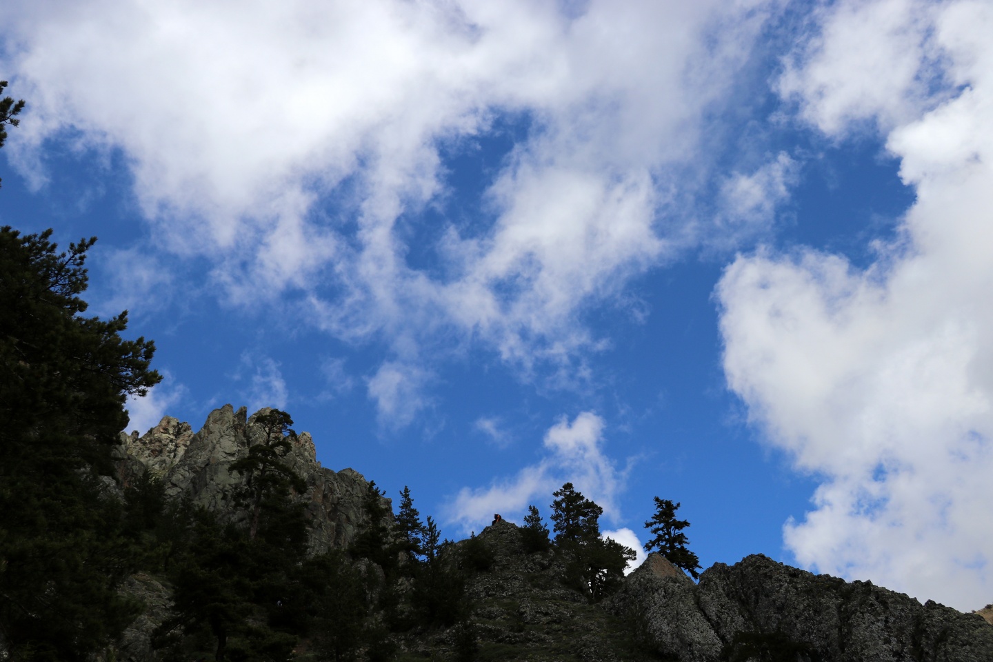 Gümüşhaneli dağcılardan bulutların üzerinde yürüyüş 72