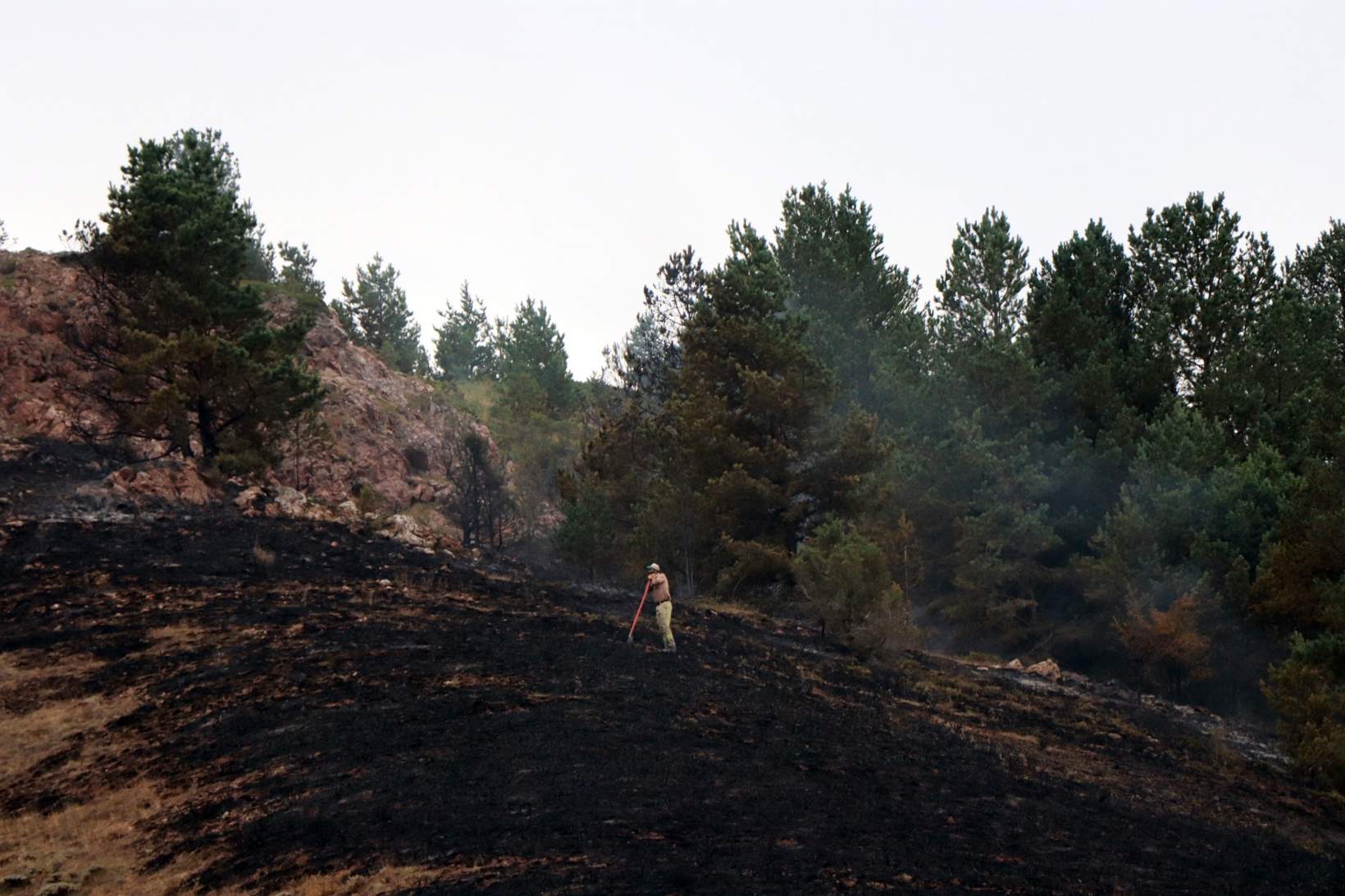 Gümüşhane’de orman ve örtü yangını 8