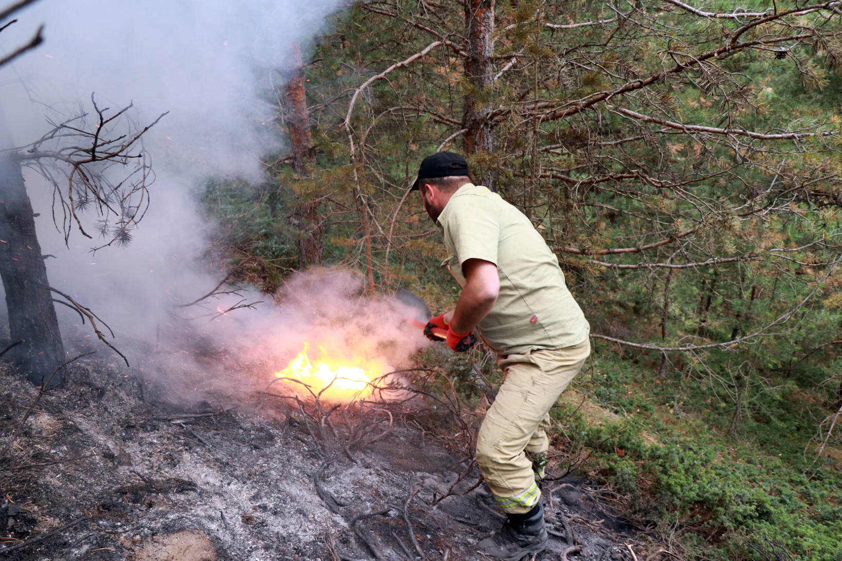 Gümüşhane’de orman ve örtü yangını 10