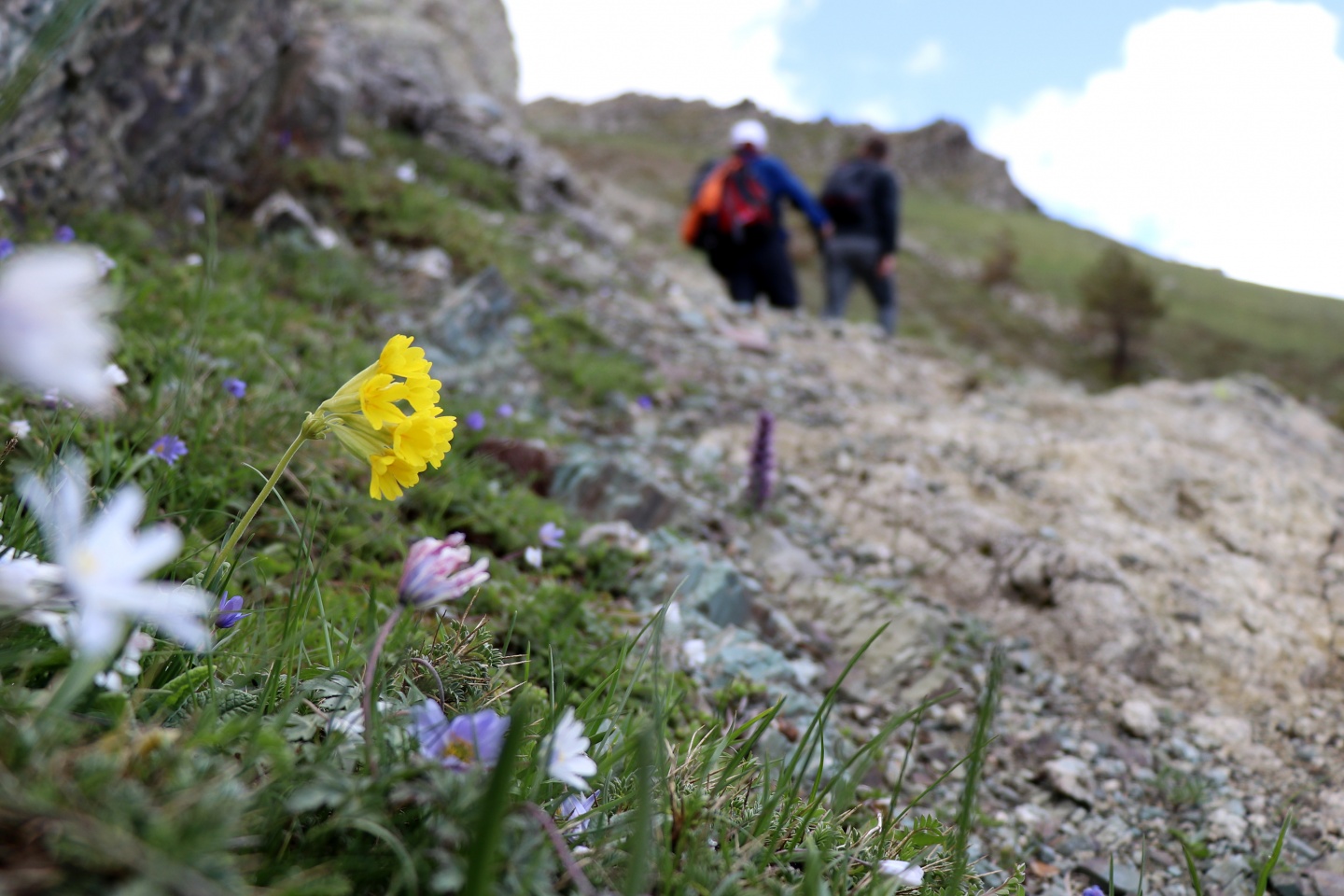 Gümüşhaneli dağcılardan bulutların üzerinde yürüyüş 80