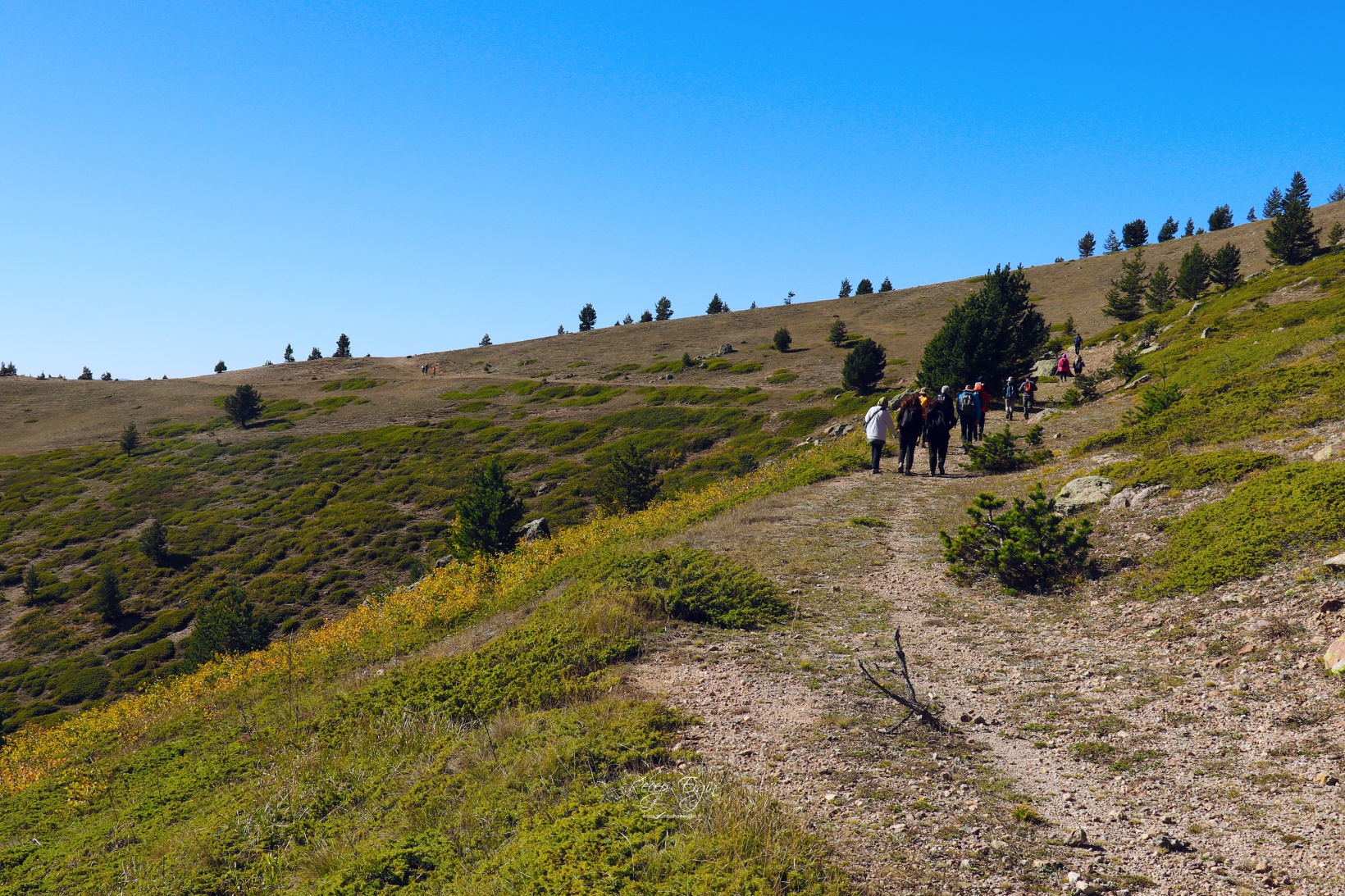 Gümüşhane dağları sonbaharın büyüleyici renkleriyle bezendi 20