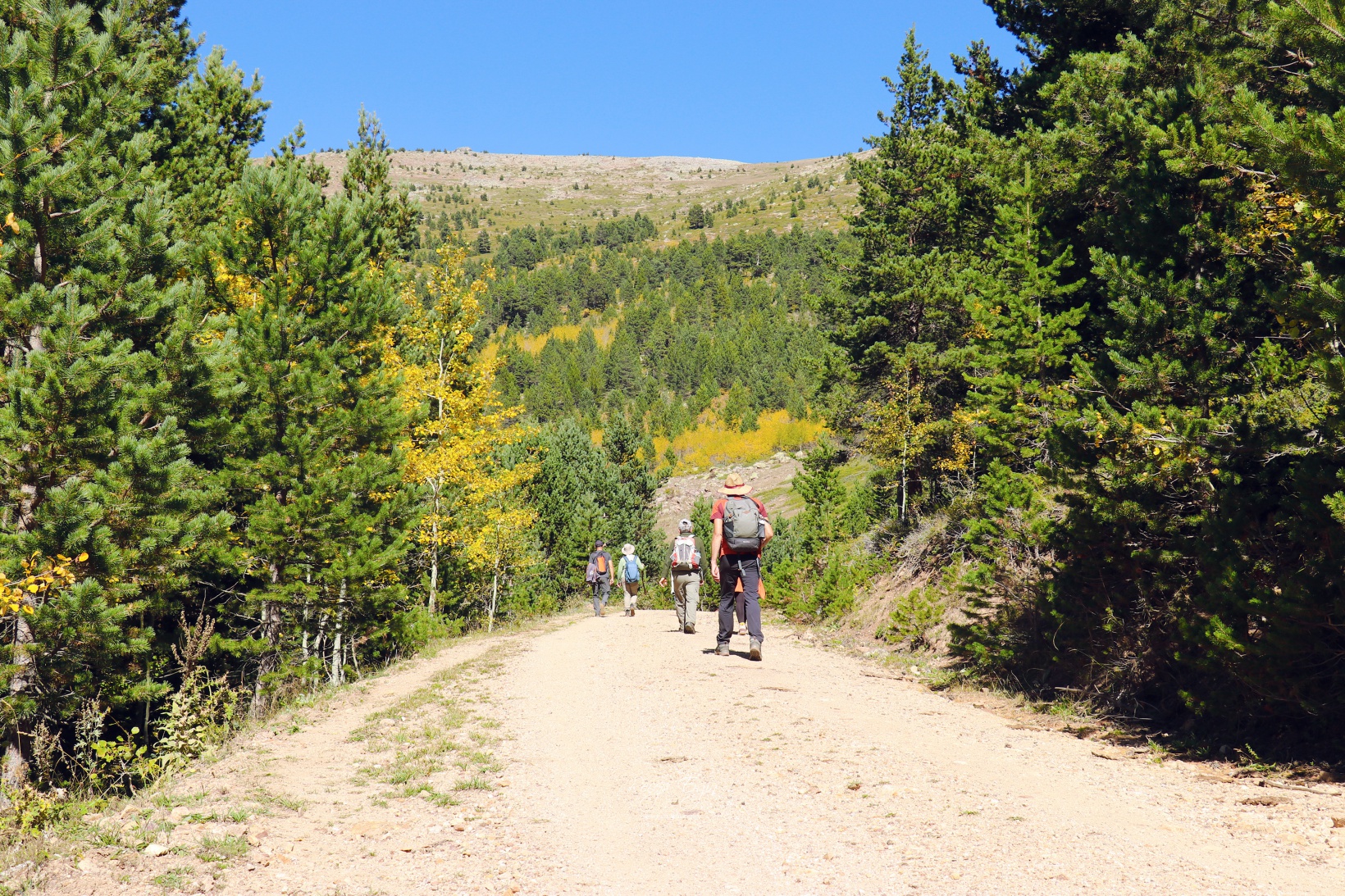 Gümüşhane dağları sonbaharın büyüleyici renkleriyle bezendi 37