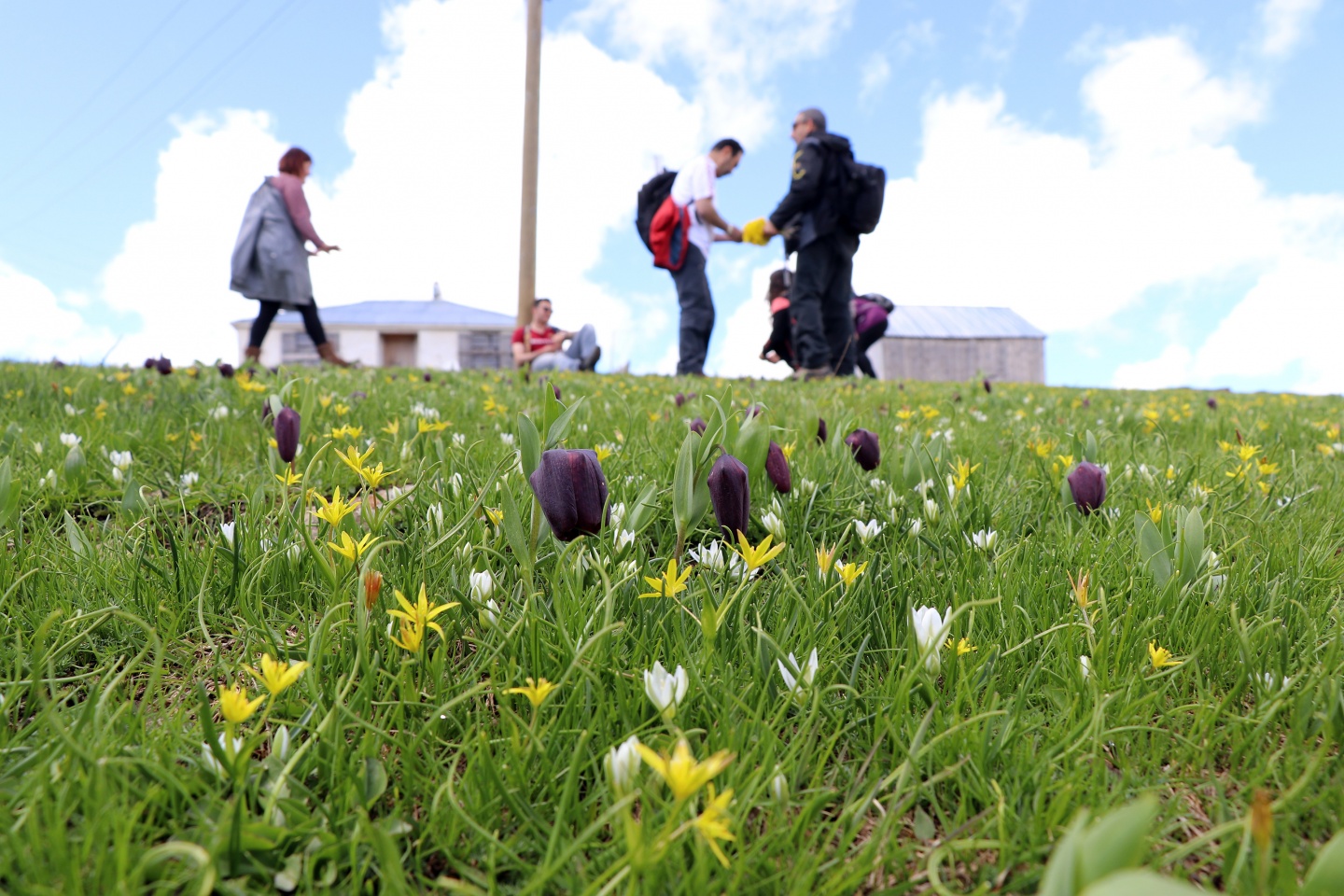 Gümüşhaneli dağcılardan bulutların üzerinde yürüyüş 71