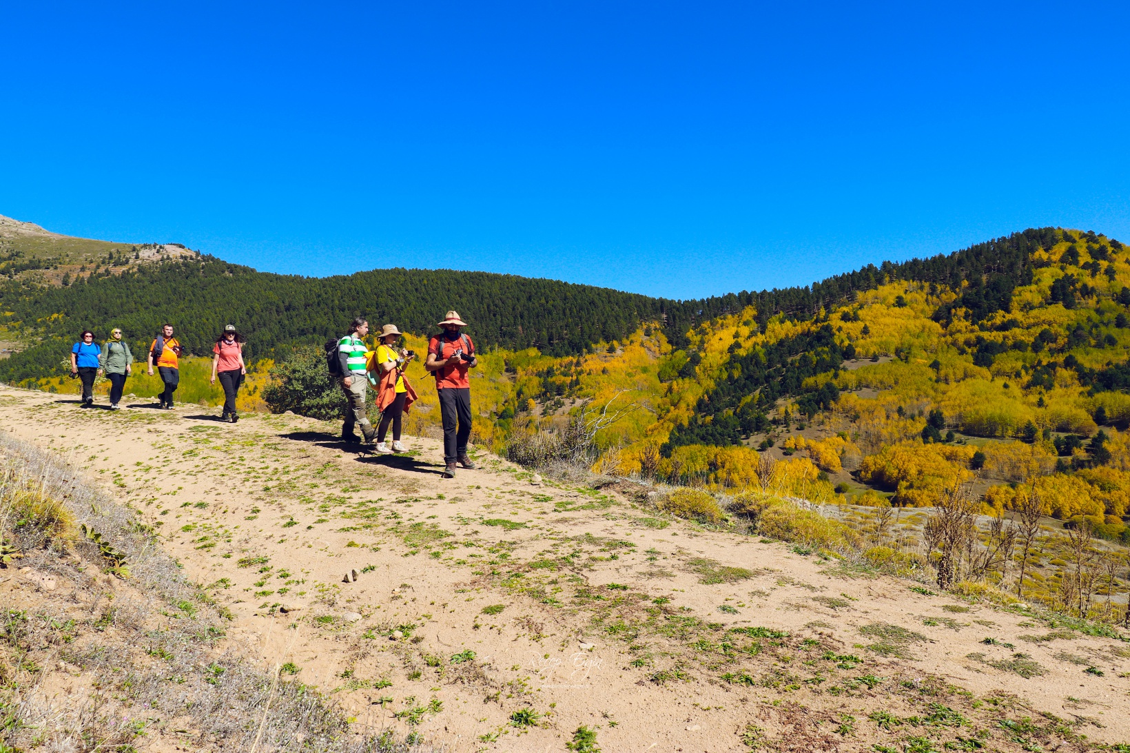 Gümüşhane dağları sonbaharın büyüleyici renkleriyle bezendi 30