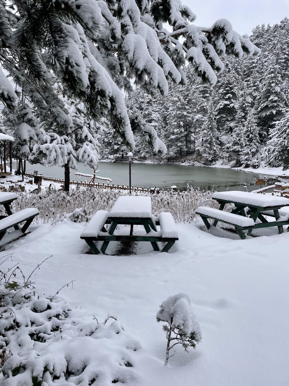 Limni Gölünden eşsiz kar görüntüleri 11