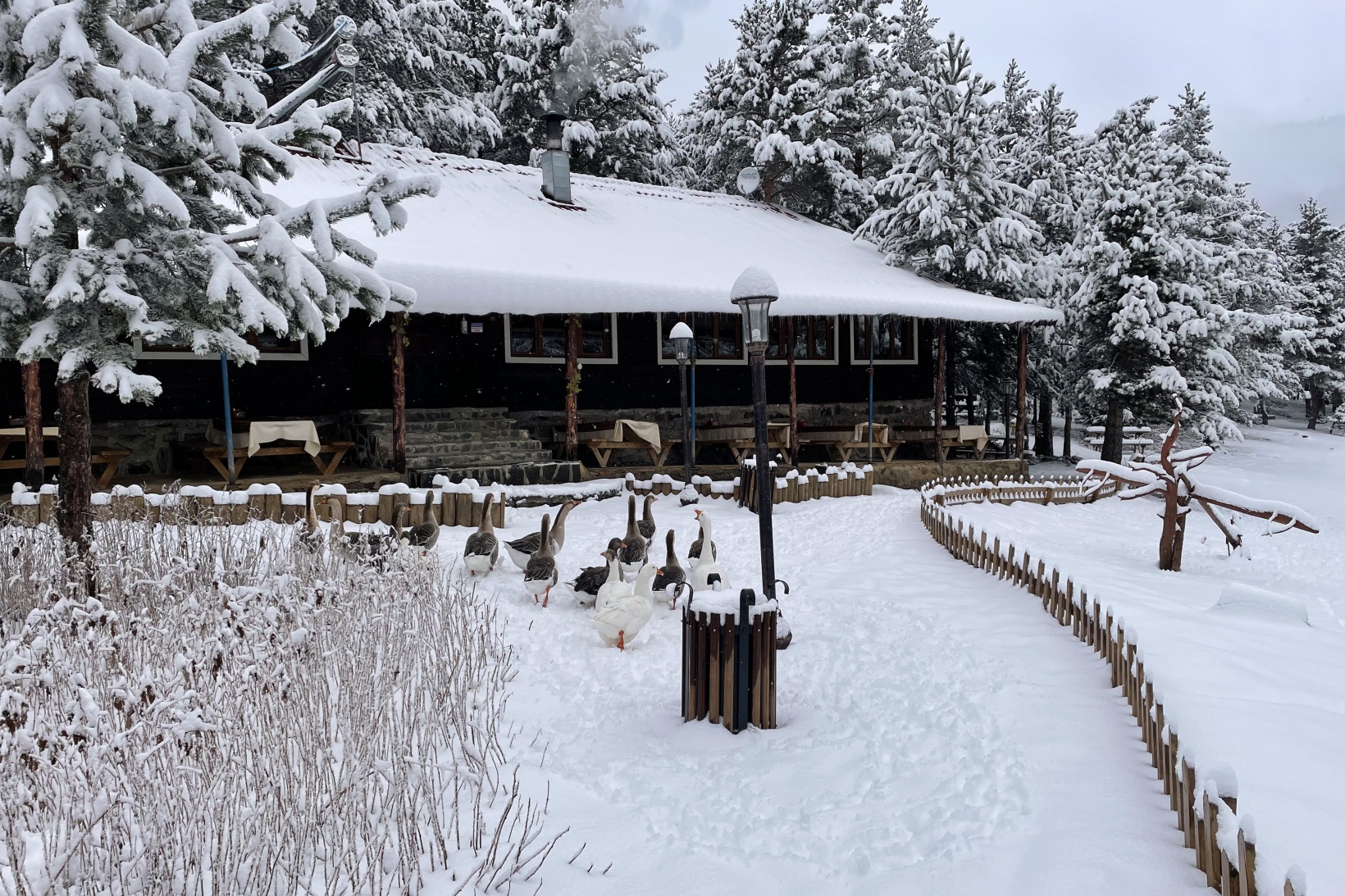 Limni Gölünden eşsiz kar görüntüleri 7