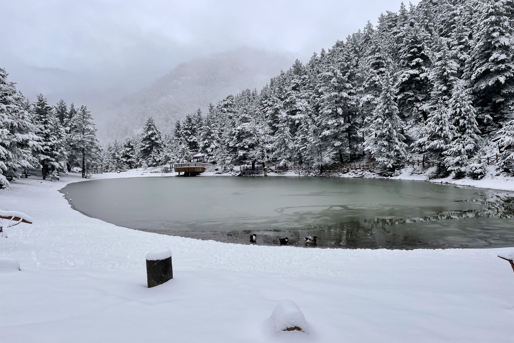 Limni Gölünden eşsiz kar görüntüleri 1