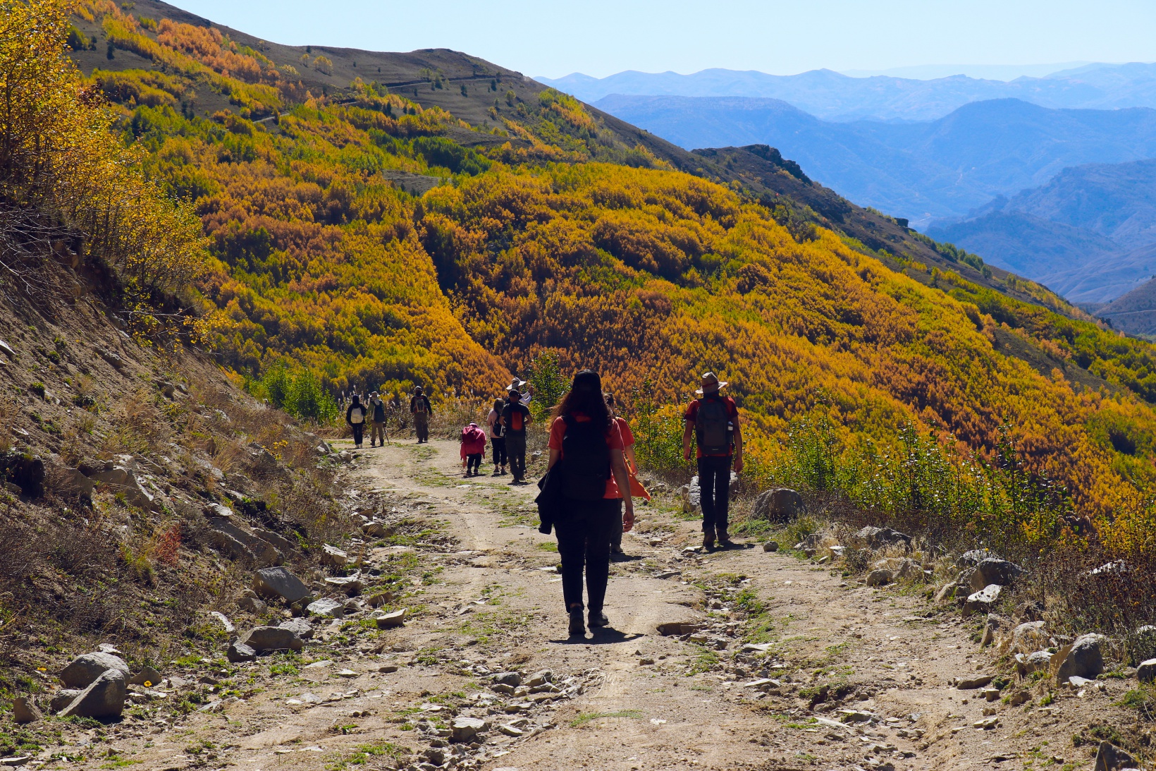 Gümüşhane dağları sonbaharın büyüleyici renkleriyle bezendi 43