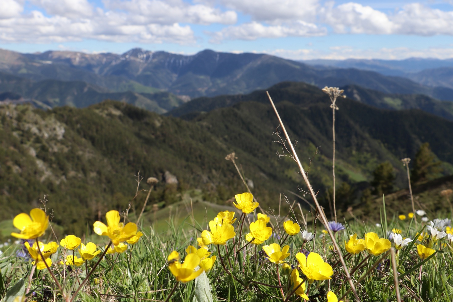 Gümüşhaneli dağcılardan bulutların üzerinde yürüyüş 63