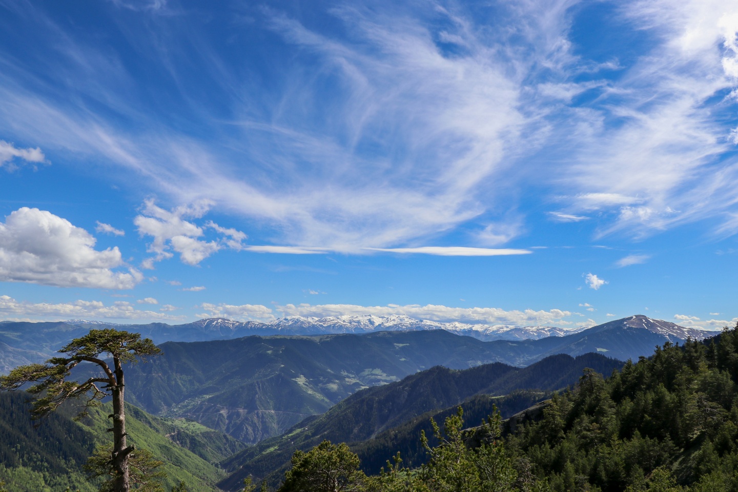 Gümüşhaneli dağcılardan bulutların üzerinde yürüyüş 21