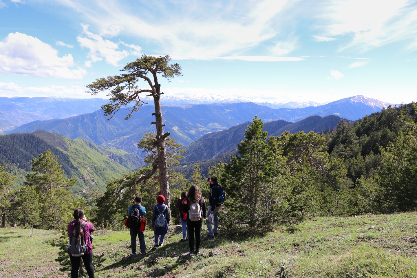 Gümüşhaneli dağcılardan bulutların üzerinde yürüyüş 27