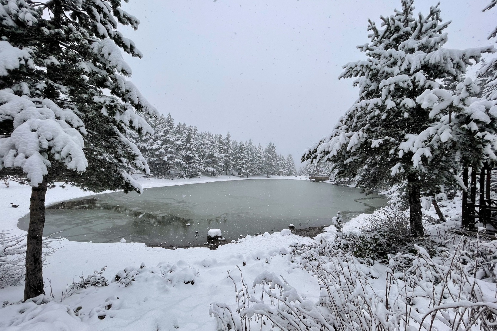 Limni Gölünden eşsiz kar görüntüleri 6