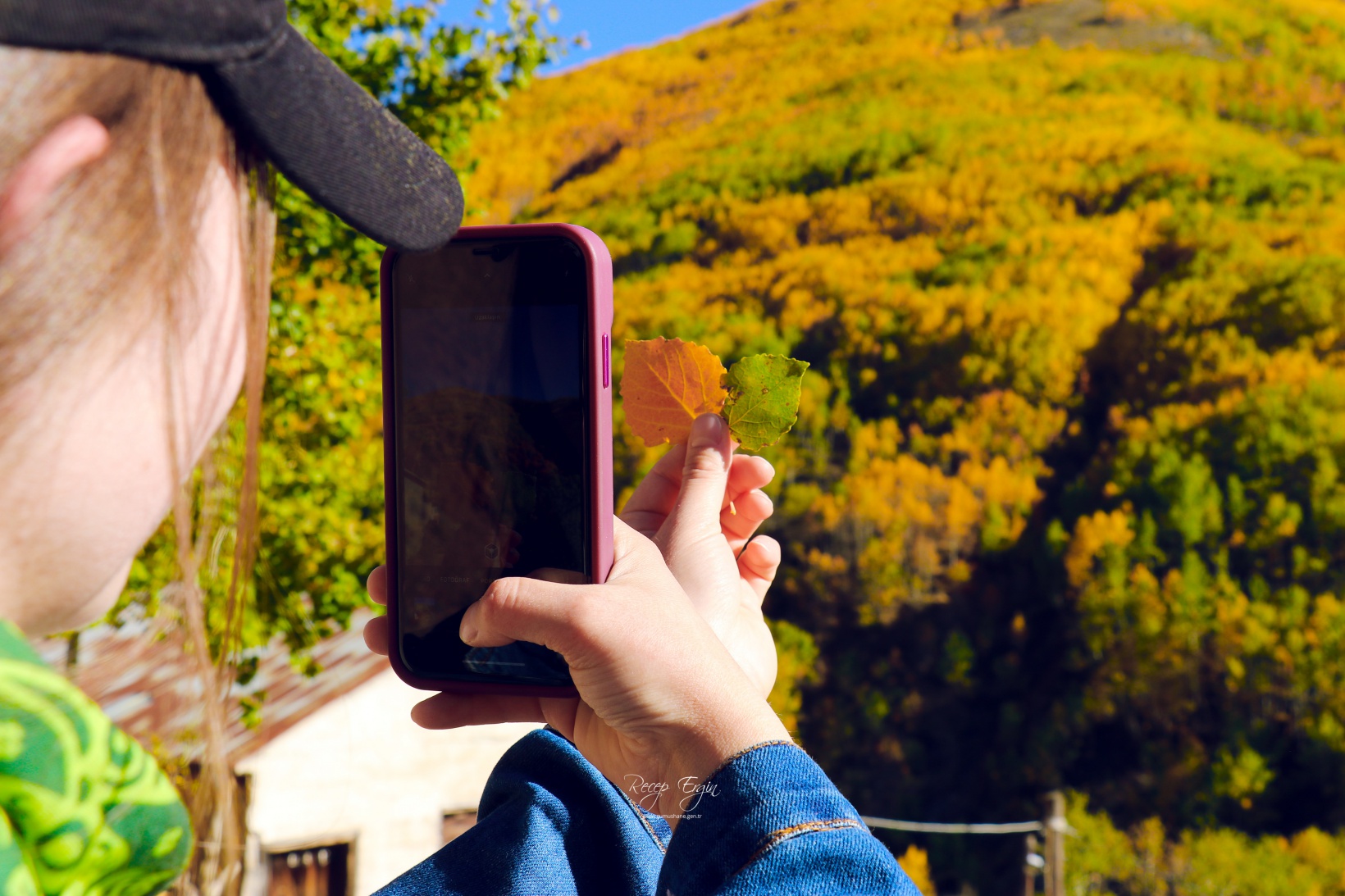 Gümüşhane dağları sonbaharın büyüleyici renkleriyle bezendi 3