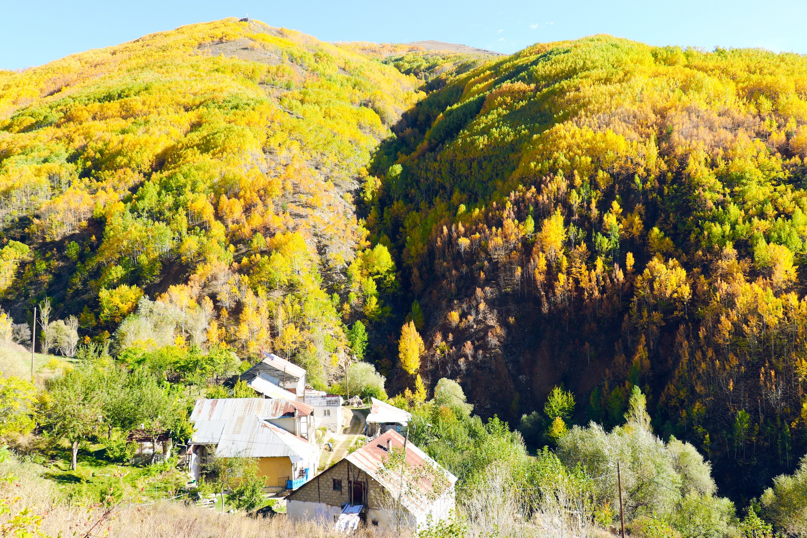 Gümüşhane dağları sonbaharın büyüleyici renkleriyle bezendi 42