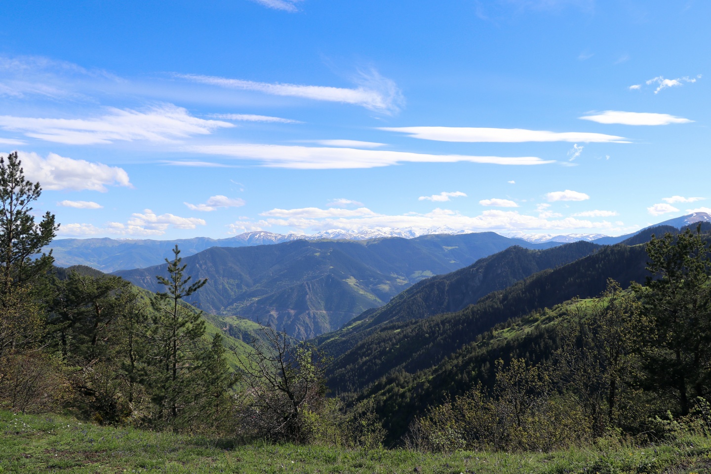 Gümüşhaneli dağcılardan bulutların üzerinde yürüyüş 43