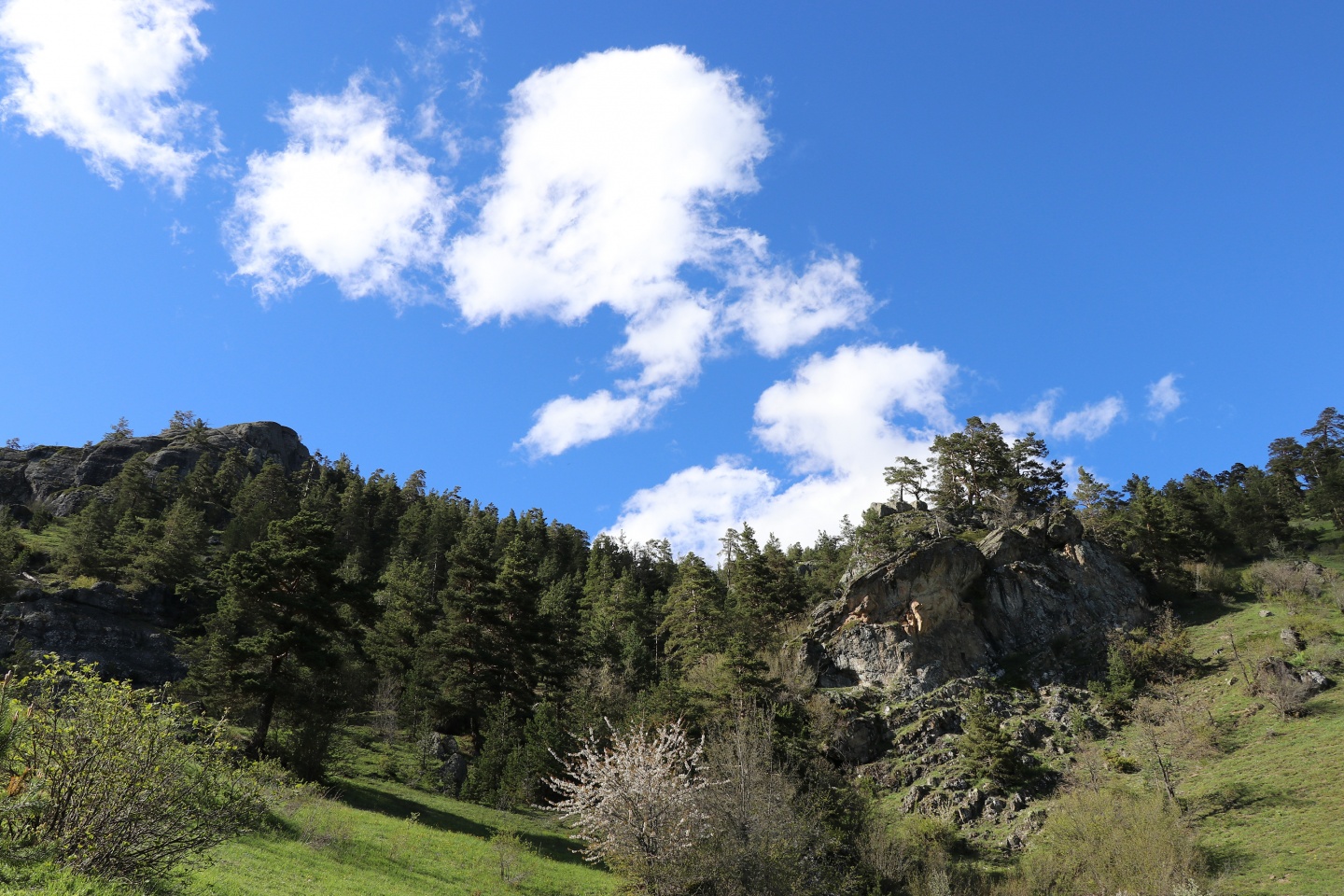 Gümüşhaneli dağcılardan bulutların üzerinde yürüyüş 83